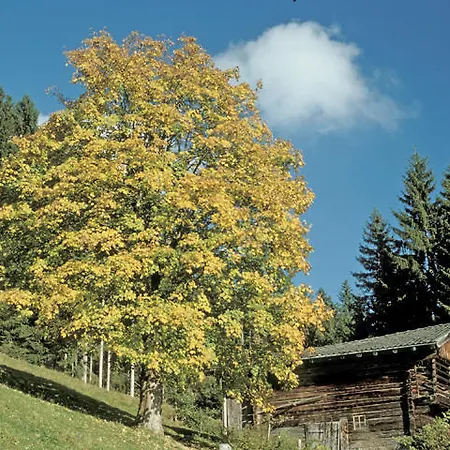 Appartement Neukumhof *