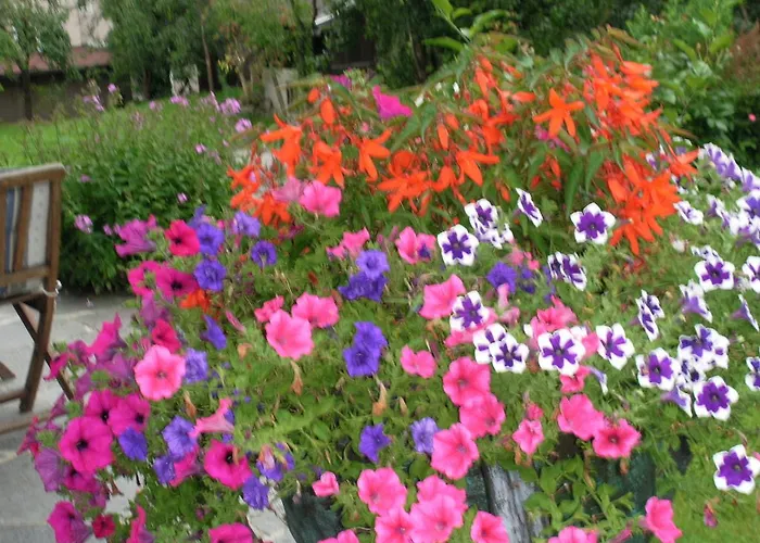 Appartamento Neukumhof