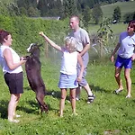 Апартаменты Neukumhof